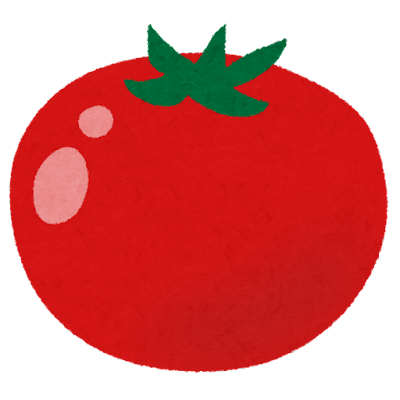 完熟して美味しそうな真っ赤なトマト